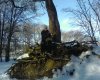 winter2006__956.jpg winter2006__956.jpg