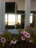 IMG_0219.jpg IMG_0219.jpg